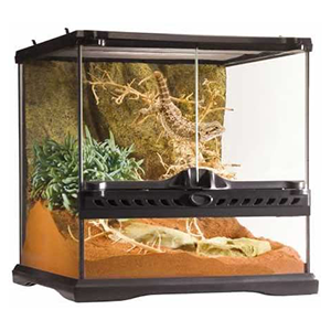 Reptile Terrariums